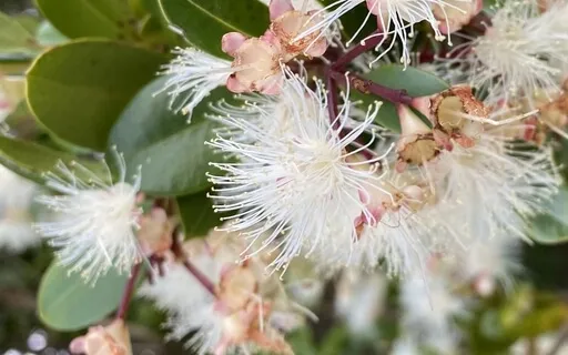 Call In Luck With These Affirmations 