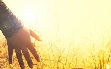 Call In Peace For Yourself And The World