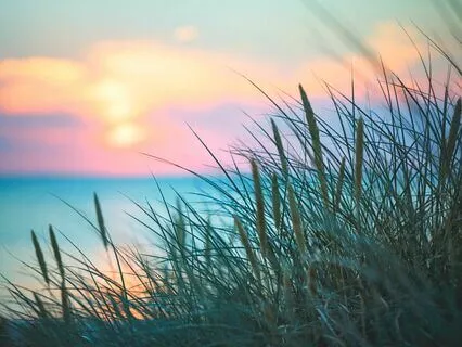 Call In Soul Guidance : Align With Your True Path