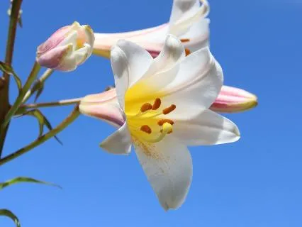 Calling Back Your Energy Meditation