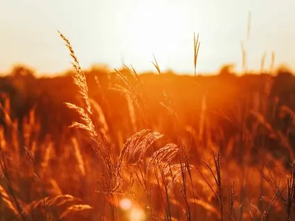 Calling Back Your Energy