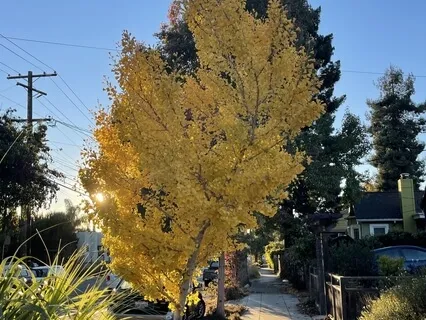 Calling Emotions By Name