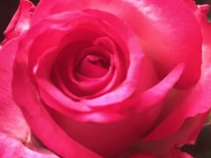 Calling For Fertility