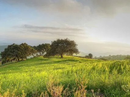 Calling Forth Your True Self: Discovering Your Heart’s Truth