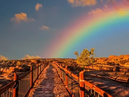 Calling In & Receiving Light 