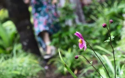 Calling In Clarity For Writing Your Soul Story