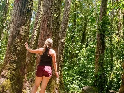 Calling In Gratitude For Life And Nature