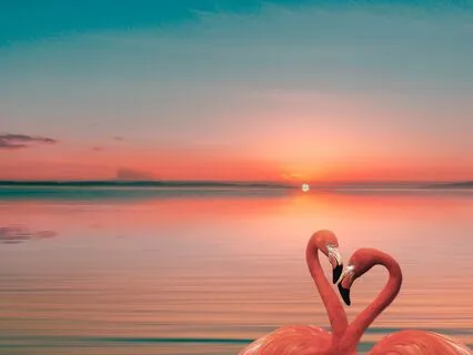 Calling In Love And Abundance