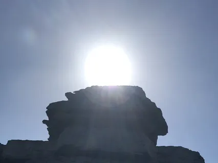 Calling In The Light