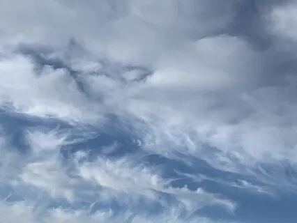 Calling In The Light