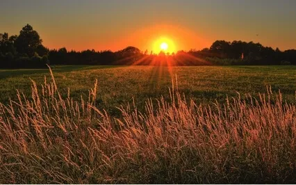 Calling In The Light