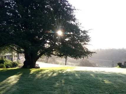 Calling In The Light - Building Resilience In Challenging Times