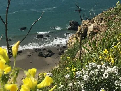 Calling In Your Ideal Client Meditation