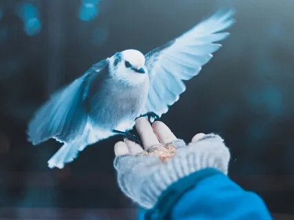 Calling On A Kindred Spirit