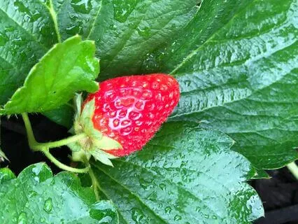 Calling The Directions: New Moon In Pisces 2024