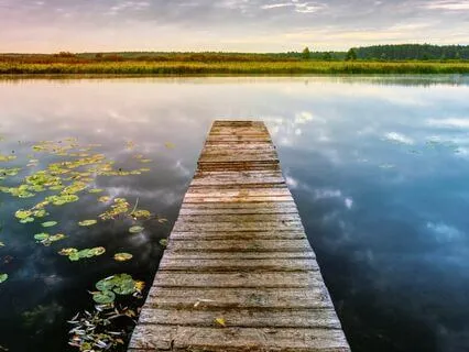 Calm 001 : Relaxation Singing Meditation I Light Language