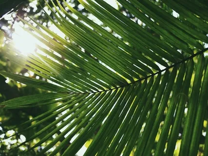 Calm In Three Minutes