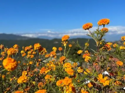Calm A Busy Mind: 5-Minute Sound Meditation