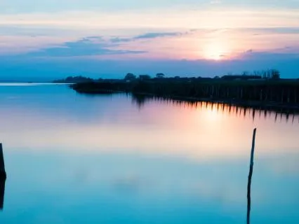 Calm A Pain Spike | Find Relief In The Moment