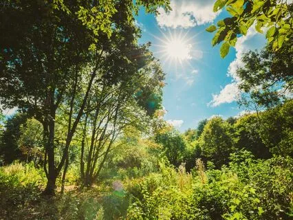 Calm Abundance: Rich Relaxing Rhythms