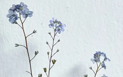 Calm Alignment In Discomfort