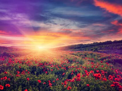 Calm Amid Chaos (Piano-Based Practice)