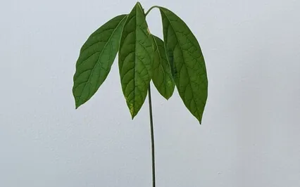 Calm An Anxious Mind - 6 Minutes Of Affirmations