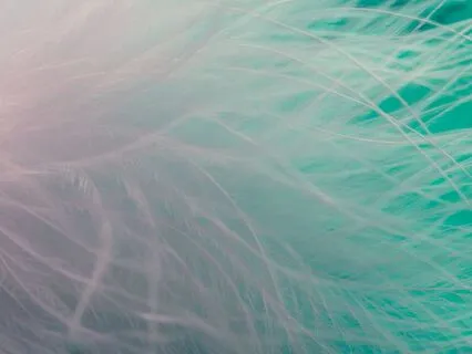 Calm And At Ease: Yoga Nidra NSDR