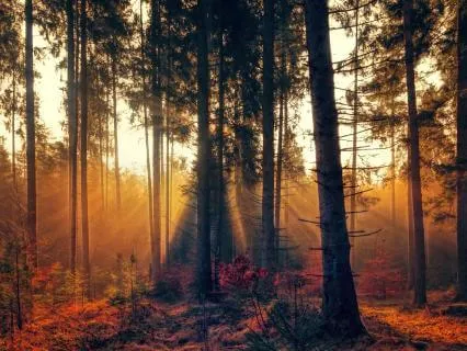 Calm And Balanced Day | Morning Meditation