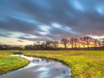 Calm And Collected: Music To Ease Anxiety