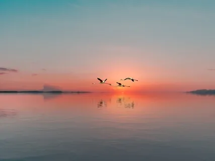 Calm And Contentedness