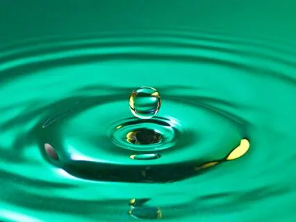 Calm And Focussed (Shortened Version)