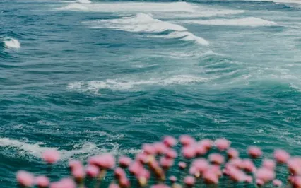 Calm & Grounding Breathwork Meditation