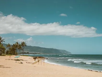 Calm And Leisurely Morning At The Beach