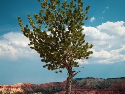 Calm And Mindful Atmosphere