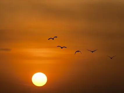 Calm And Presence While Living With Health Challenges