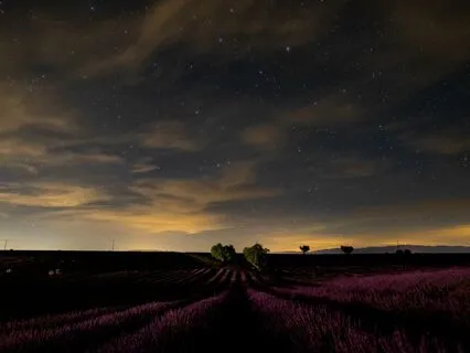 Calm And Quiet: Anxiety-Free Sleep