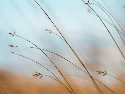 Calm & Soothe Anxiety Meditation