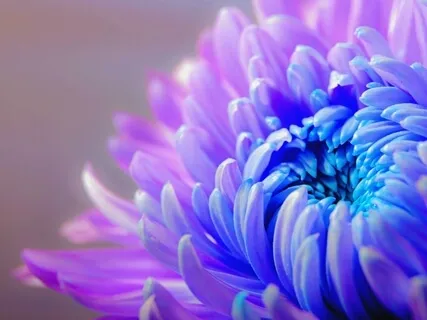 Calm And Steady Yourself