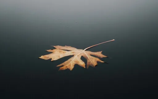 Calm Anxiety & Tension In The Body