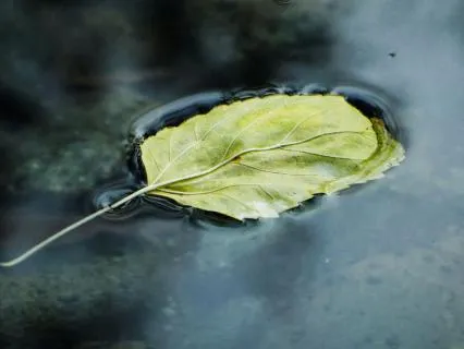 Calm Anxiety In 4 Minutes | Physiological Sigh Breathing