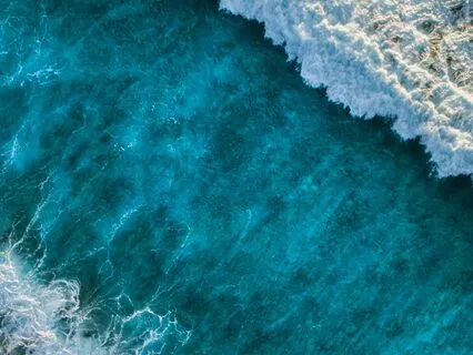 Calm Anywhere, Anytime: Nervous System Rewire