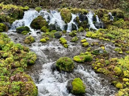 Calm at the Water’s Edge