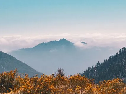 Calm Awareness Meditation - 5 Minutes