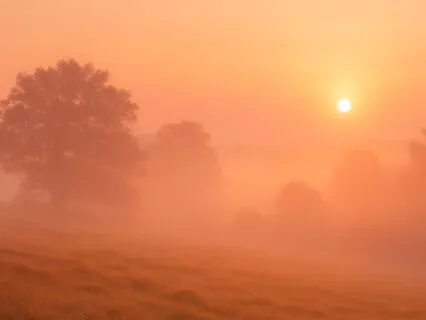 Calm Awareness Of The Breath