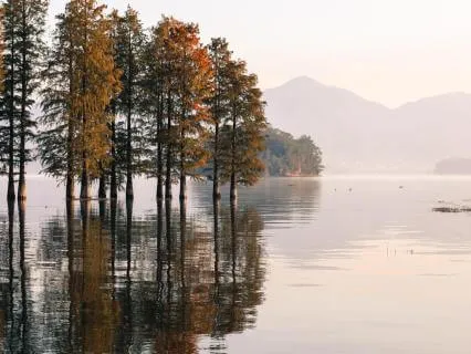 Work Stress Reset With Subliminals