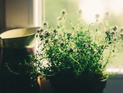 Calm Between Work Demands