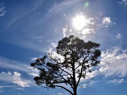 Calm Beyond The Mind