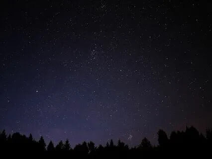 Calm Catalyst - Techniques For Stress Resilience