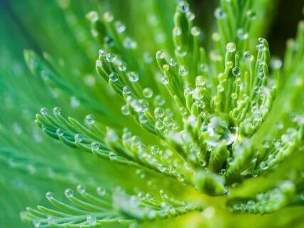 Calm, Centered, And Balanced 12 Hz Binaural Beats